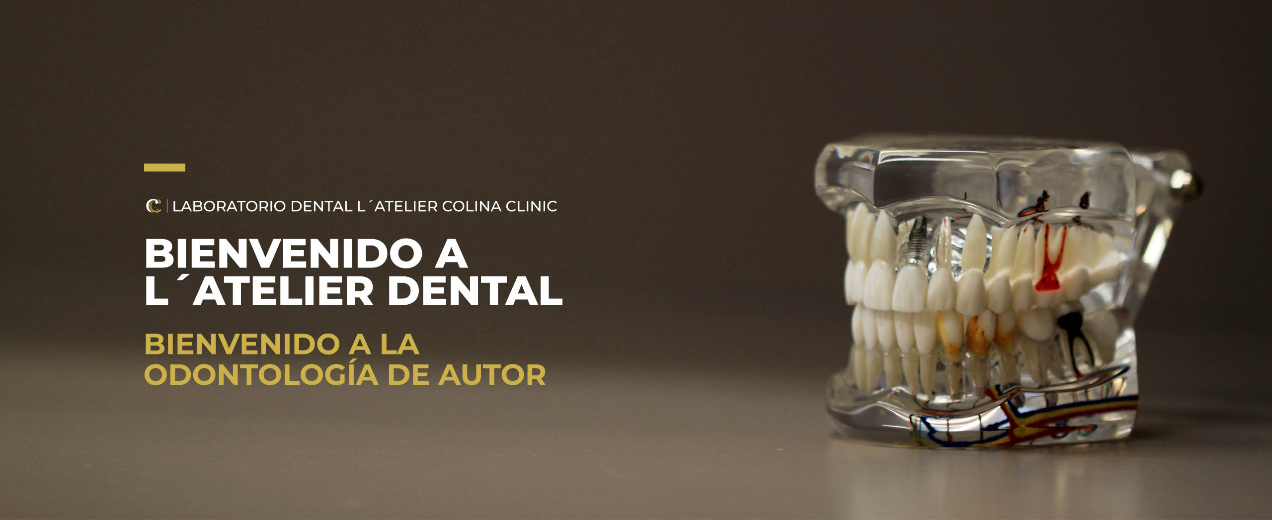inicio4